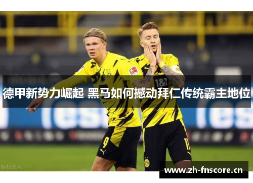 德甲新势力崛起 黑马如何撼动拜仁传统霸主地位 德甲新势力崛起 黑马如何撼动拜仁传统霸主地位