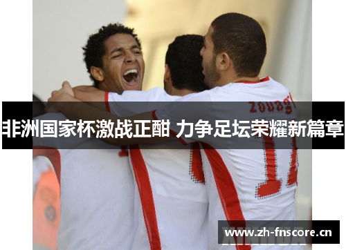 非洲国家杯激战正酣 力争足坛荣耀新篇章 非洲国家杯激战正酣 力争足坛荣耀新篇章