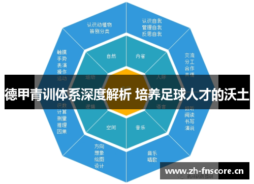 德甲青训体系深度解析 培养足球人才的沃土 德甲青训体系深度解析 培养足球人才的沃土